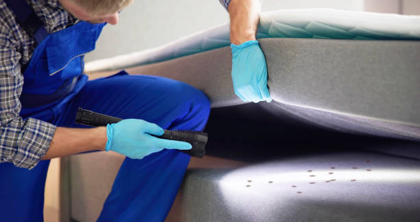 Best Cockroach Control Services  in Fort Hunt, VA