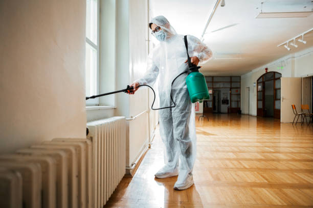 Best Wasp Removal Services  in Fort Hunt, VA
